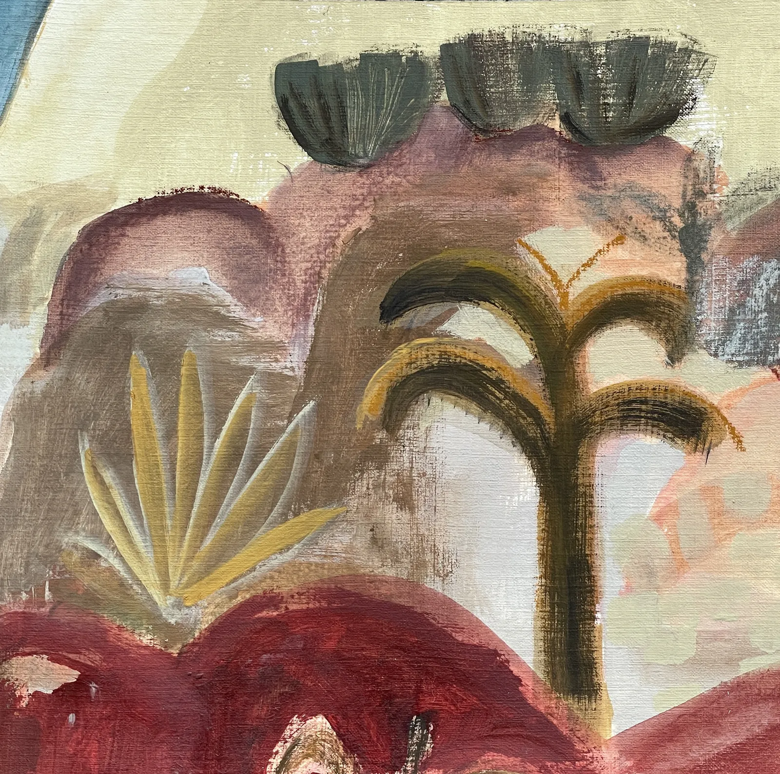 Dana Finch, Little Cabo, 2026