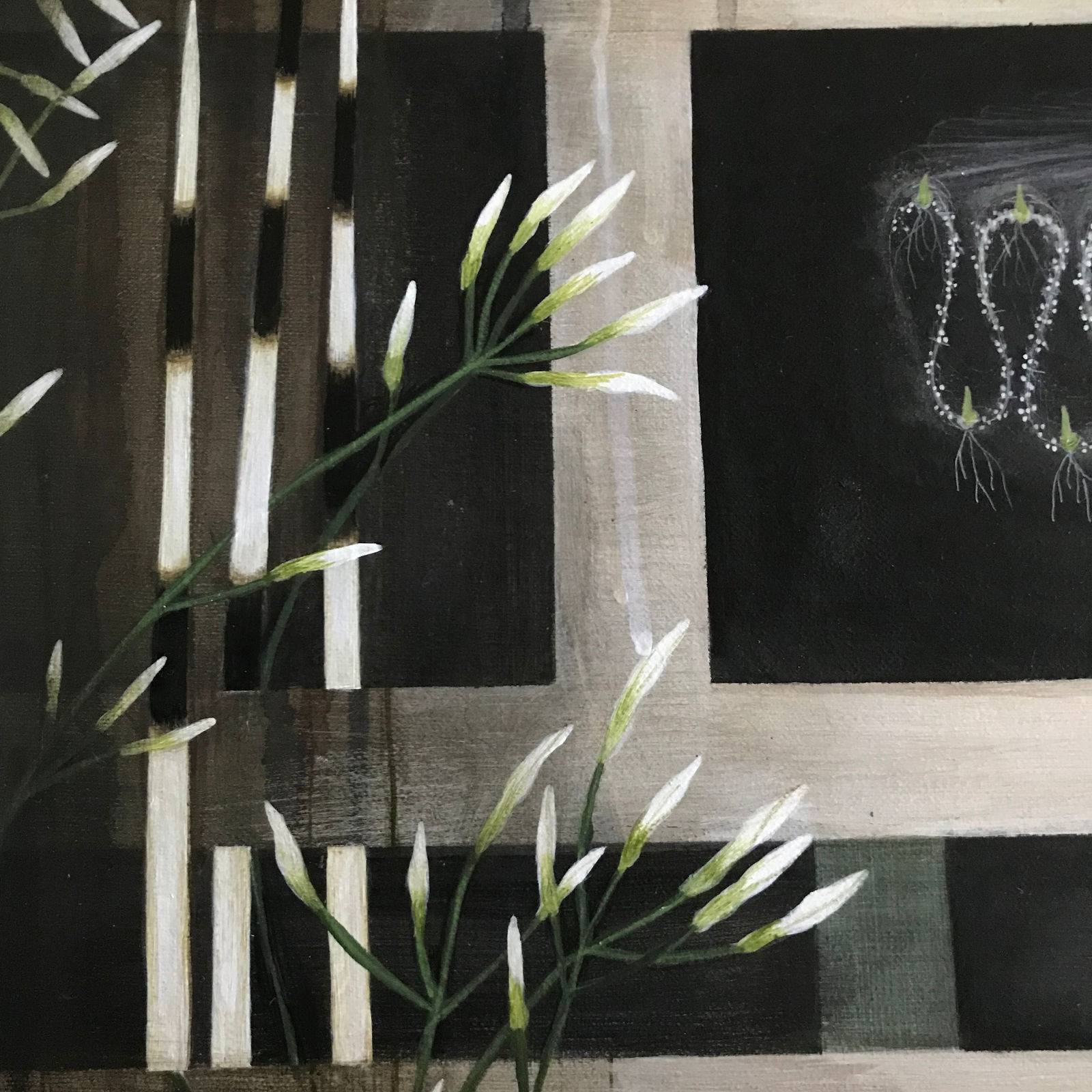 Jane Corbett, Cabinet of Delicate Strength, 2024