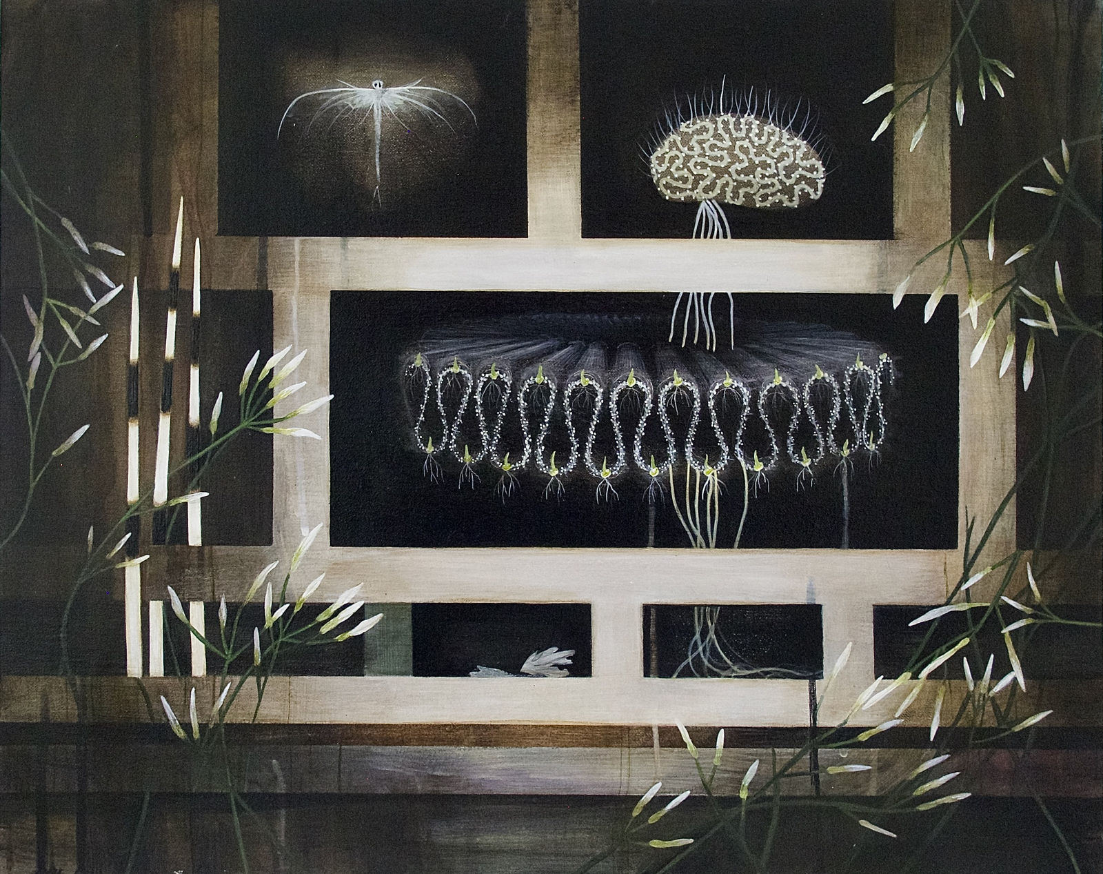 Jane Corbett, Cabinet of Delicate Strength, 2024