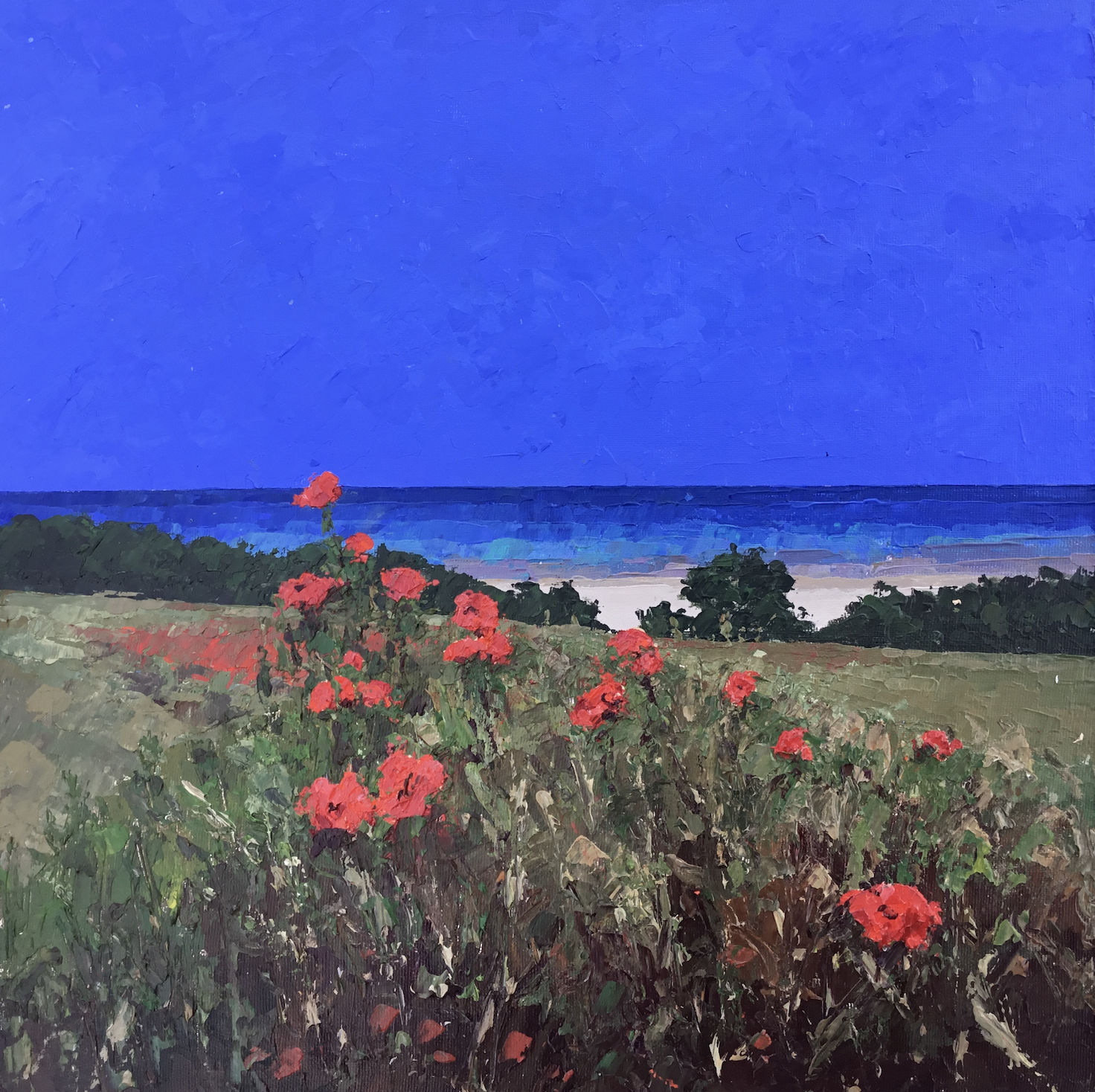 Alec Macdonald, Poppies, North Norfolk