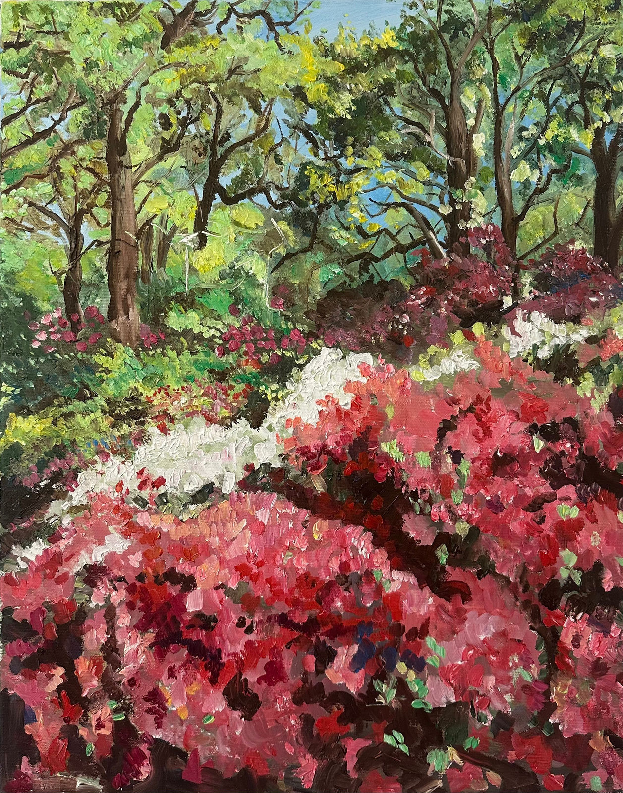 Neve Husaini, Richmond Park, 2024