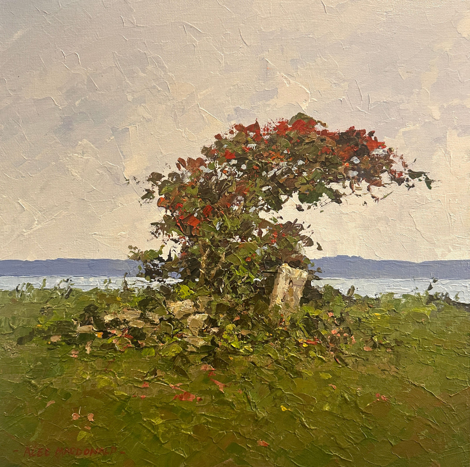 Alec Macdonald, Broken Hedge and Wind Sculpted Bush, 2025