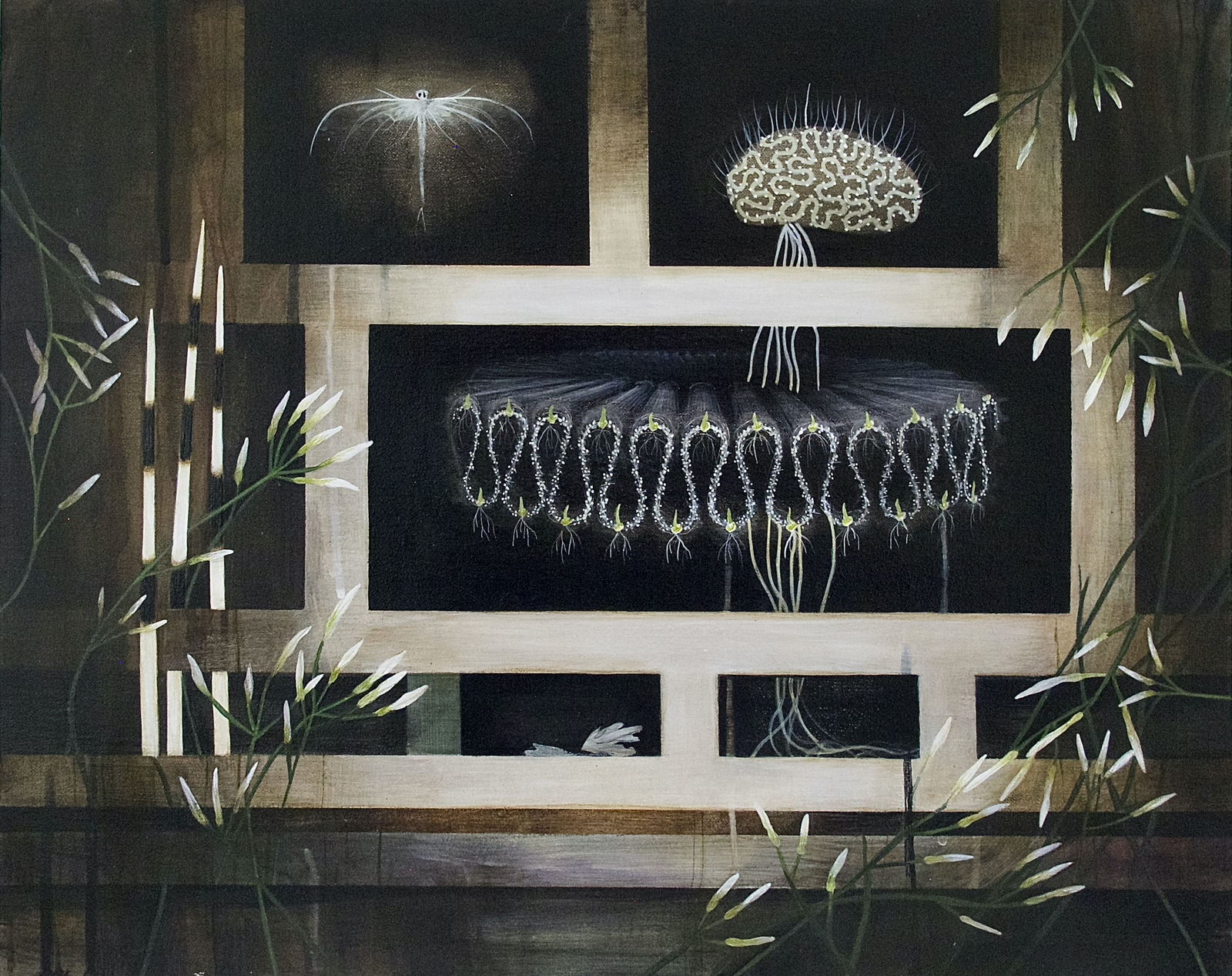 Jane Corbett, Cabinet of Delicate Strength, 2024