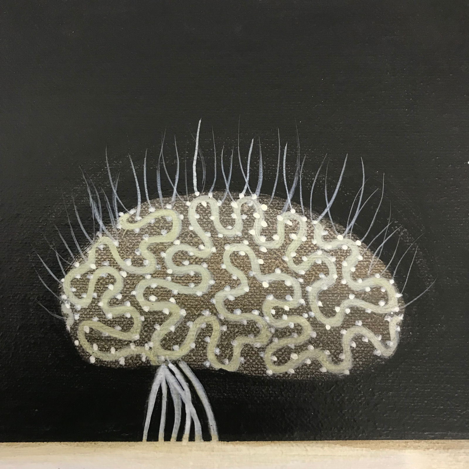 Jane Corbett, Cabinet of Delicate Strength, 2024