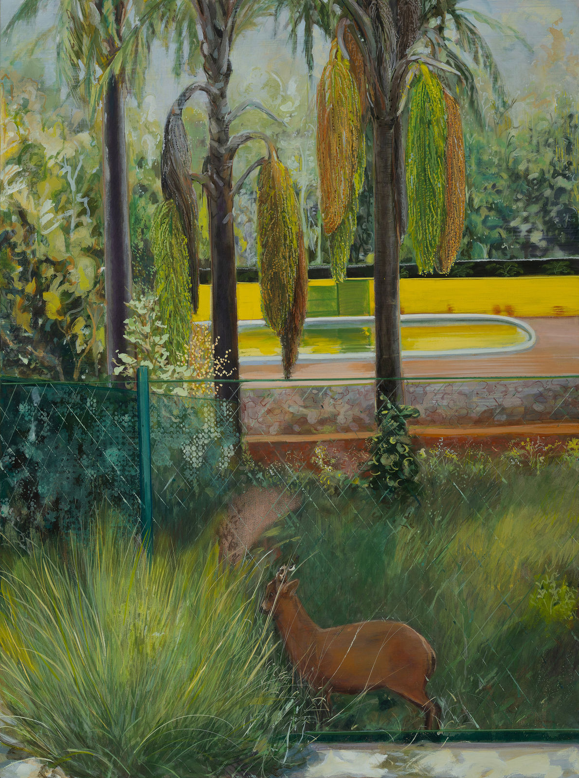 Mahesh Baliga, Dear Hayderabad, 2025