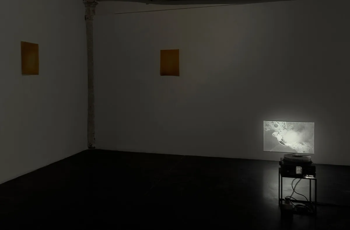 Prajakta Potnis, The Floating Island & Toxic Drawing, 2019-20