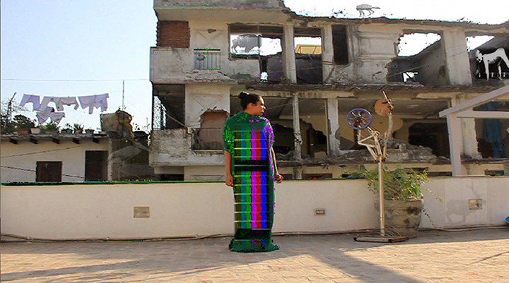 Pallavi Paul, Post Human Were Here, 2014