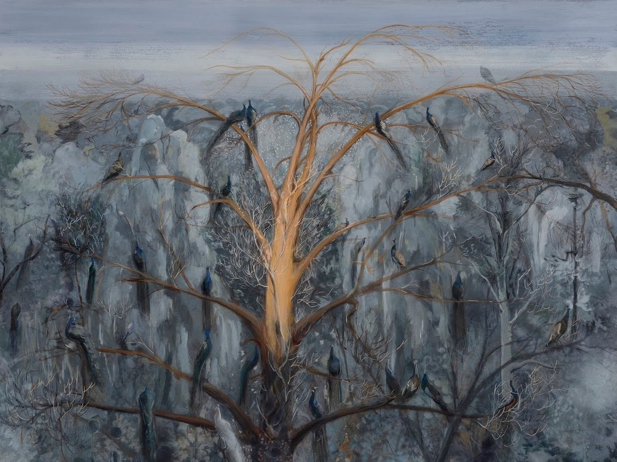 Mahesh Baliga, Backyard, 2023