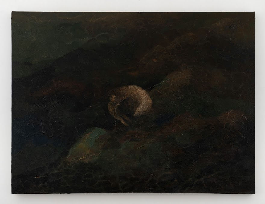 Amitesh Shrivastava, Climber, 2021