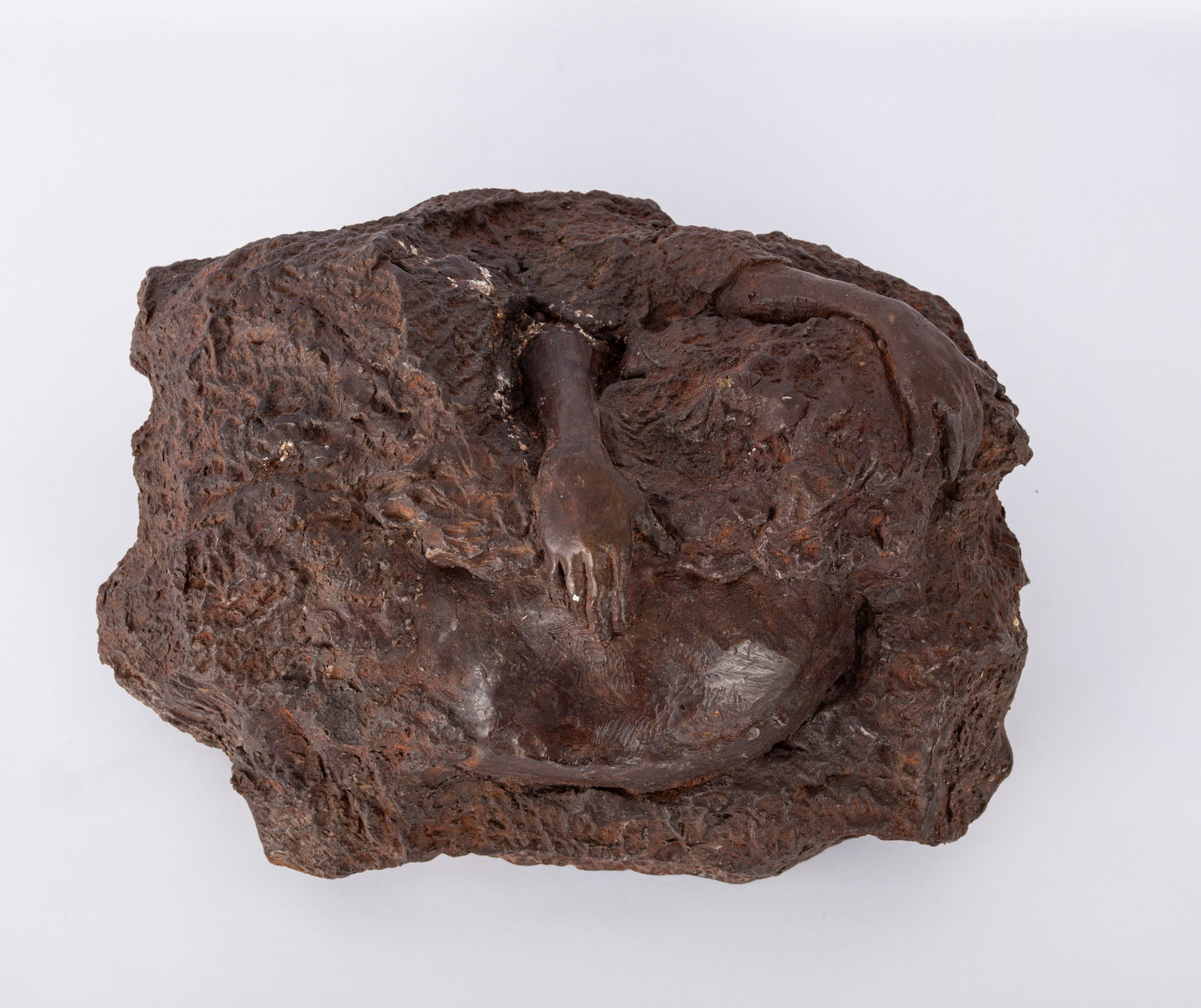 Amol K Patil, A Forest of Remembrance- S5, 2024