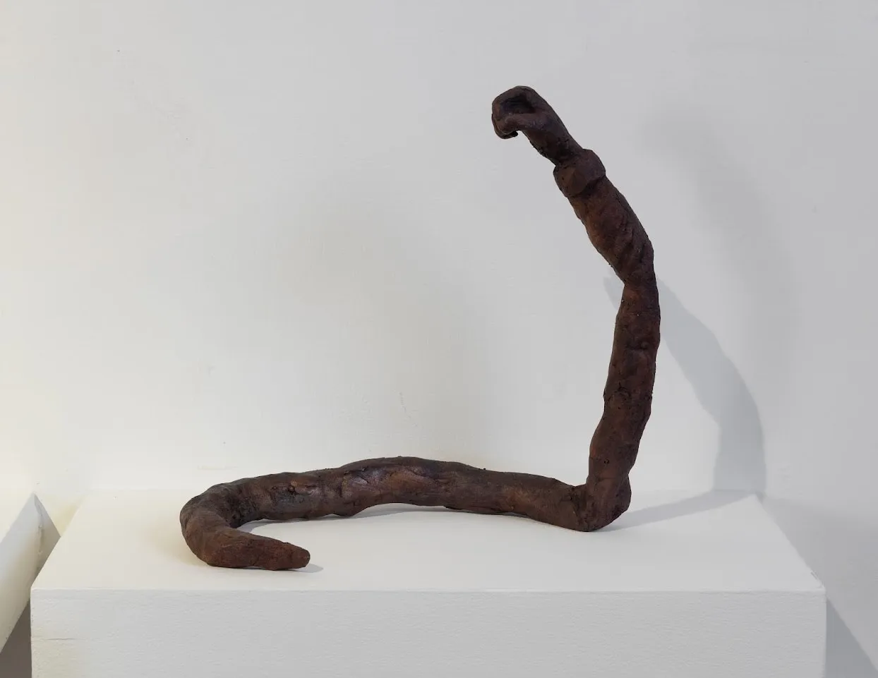 Amol K Patil, Black Masks On Roller Skates - S12, 2022