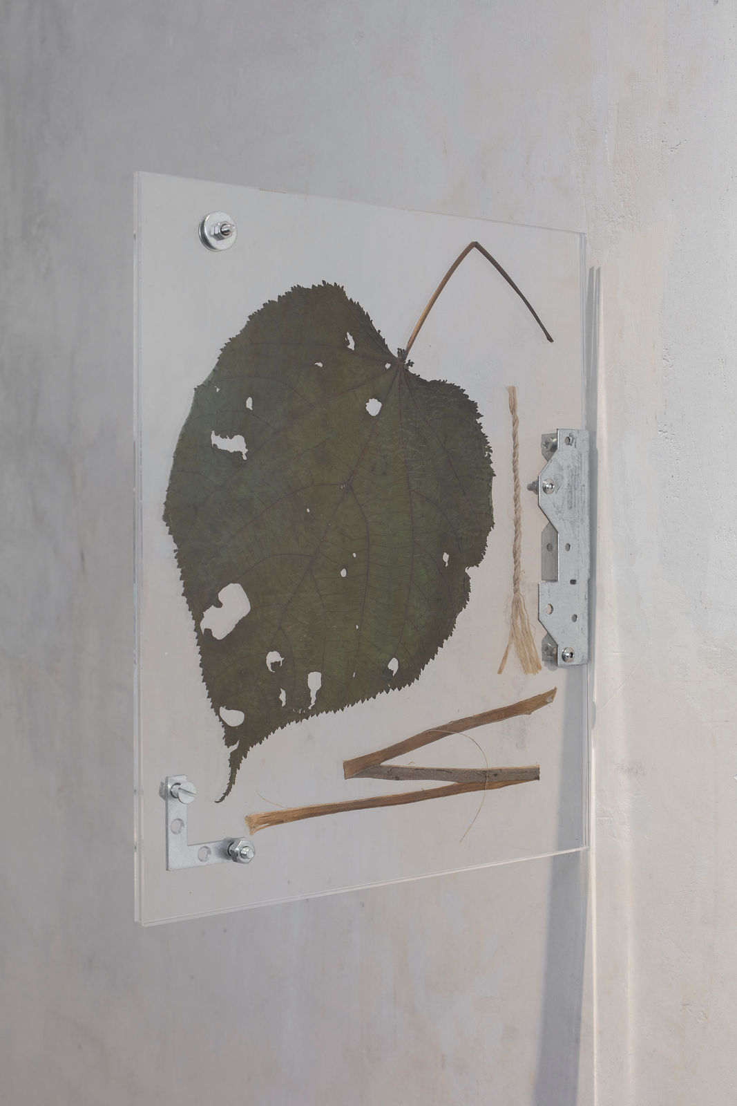 Miguel Cinta Robles, CM/SC2, 2024