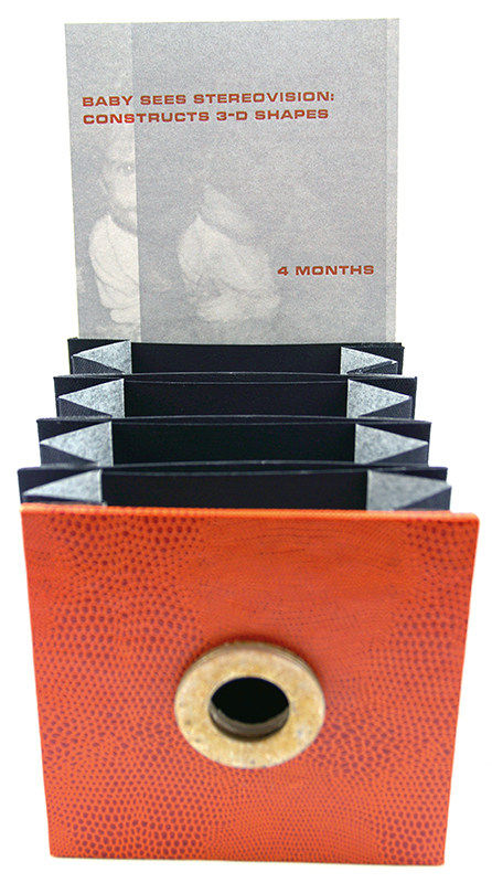 Seeing Trilogy by Emily Larned. Peepshow extended