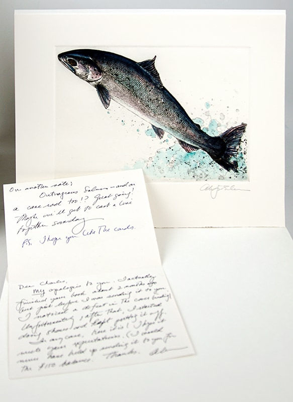 Atlantic Salmon, published by the Cheloniidae Press. Illustration with ALS