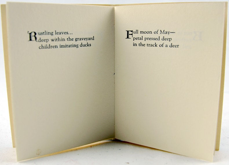 Waves of Drifting Snow. Text spread