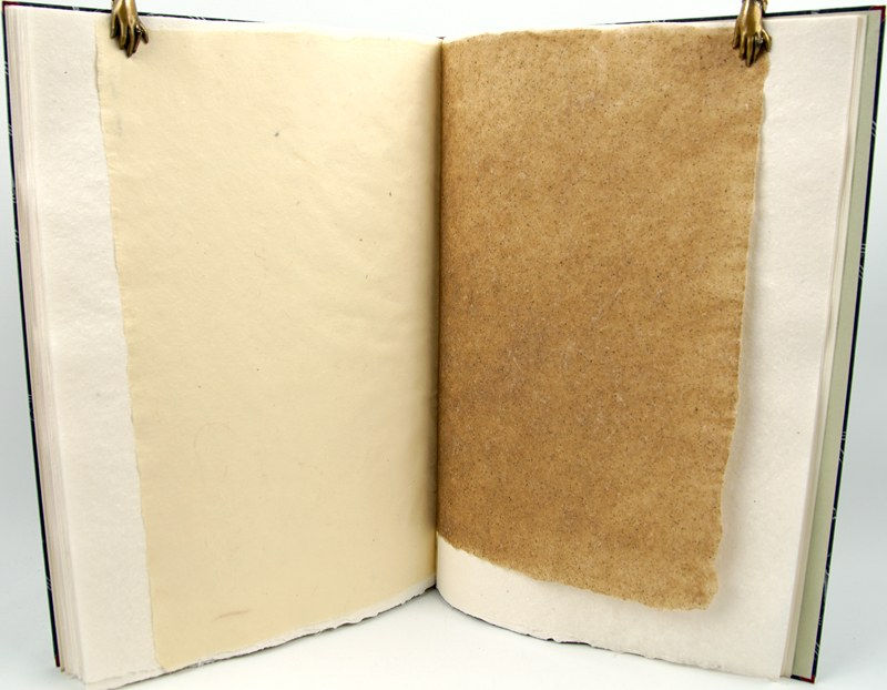 Rollin Milroy, Elements in Correlation: Printing with the Handpress at Heavenly Monkey, 2009