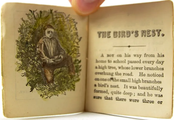 The Bird's Nest and Its Lessons. Interior page with color illustration.