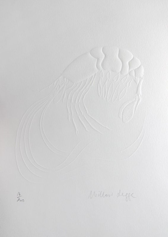 An African Folktale. Illustration