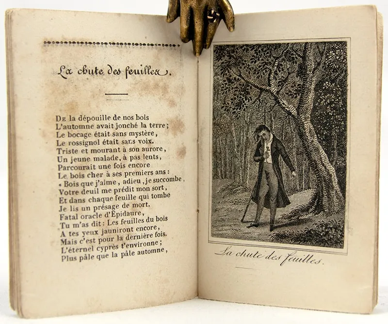 Bibliothèque en Miniature. Illustrated spread