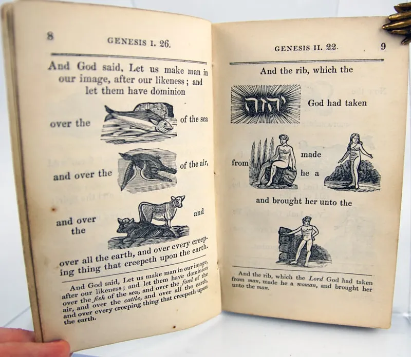 The Hieroglyphic Bible. Interior page.