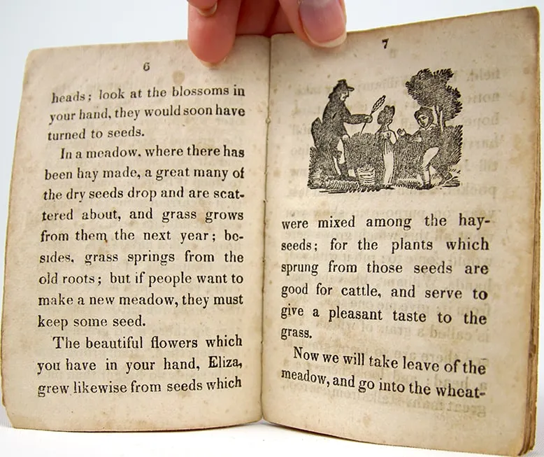 William and Eliza, or, The Visit. Interior page.