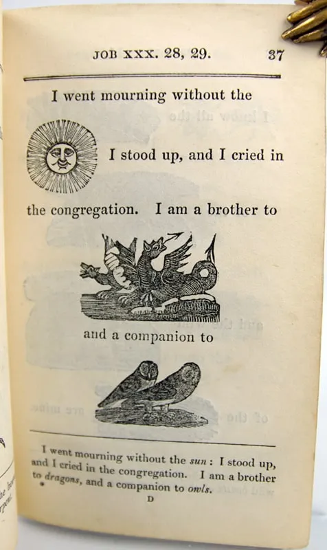 The Hieroglyphic Bible. Interior page.