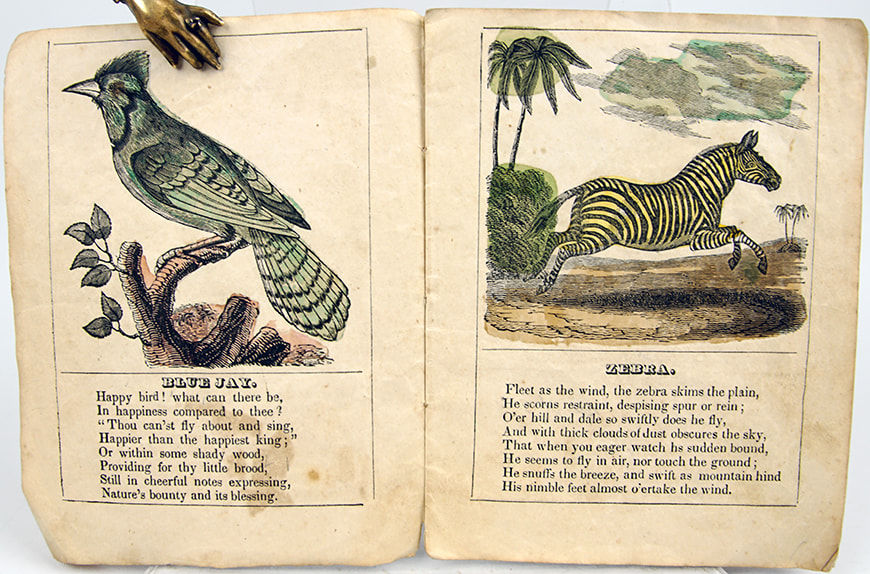 The Child's Favorite. Illustrated spread