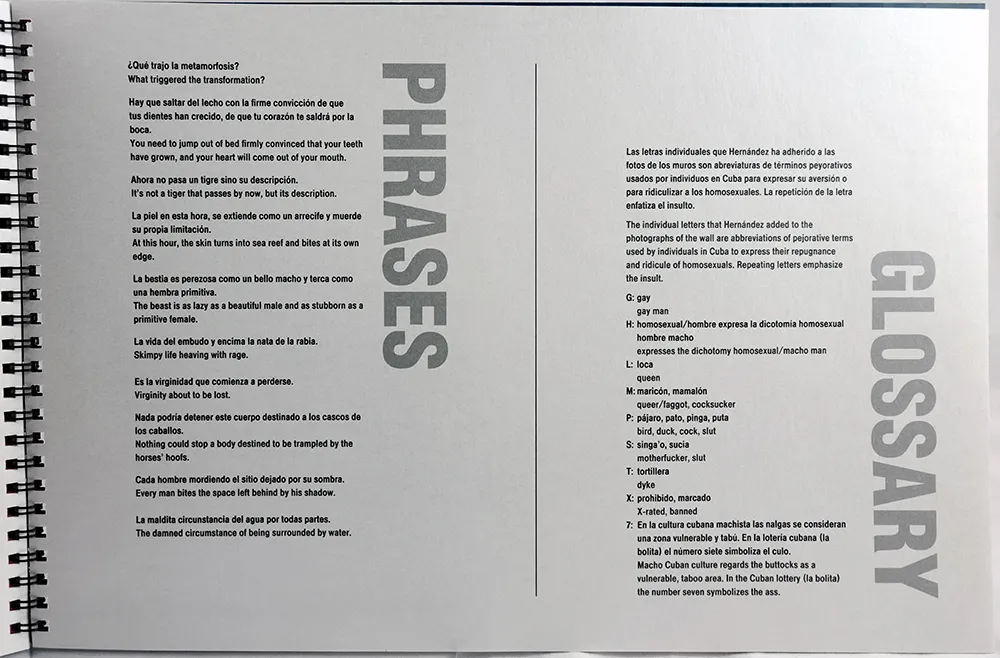 El Muro: The Wall. Glossary spread