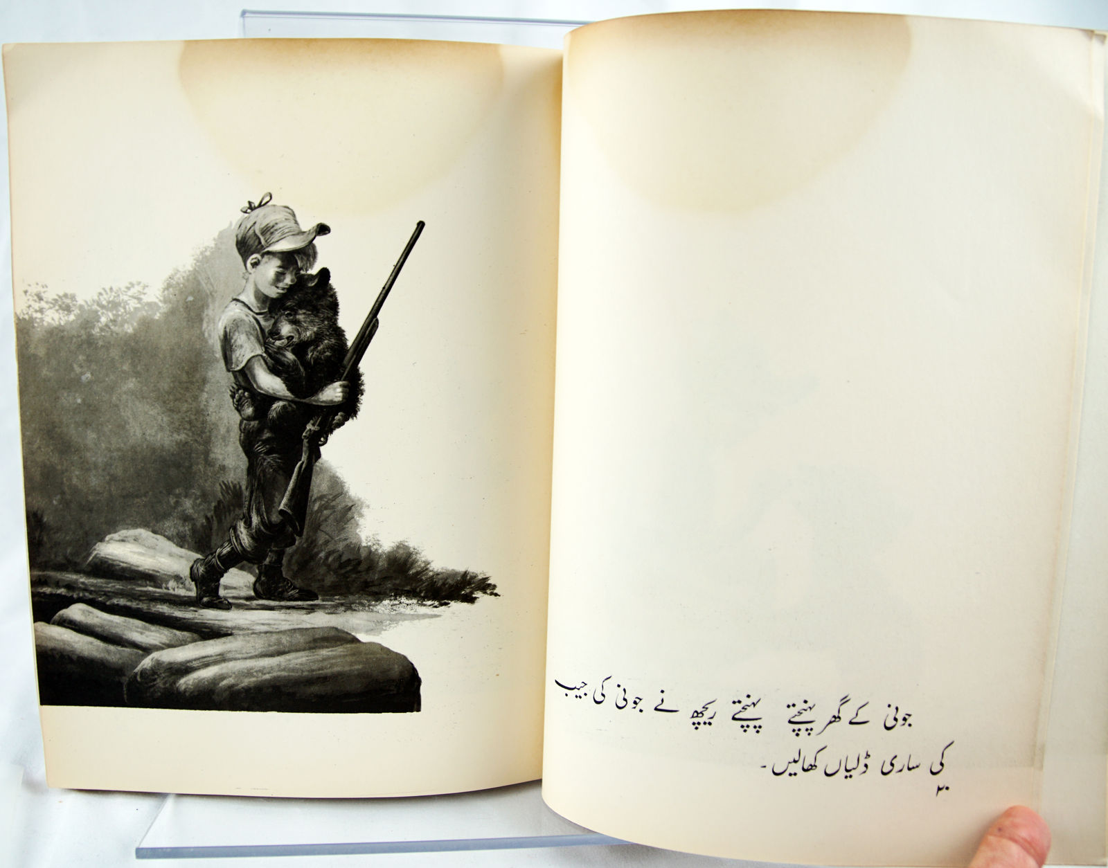 Bara Rich [Biggest Bear]. Illustrated text spread