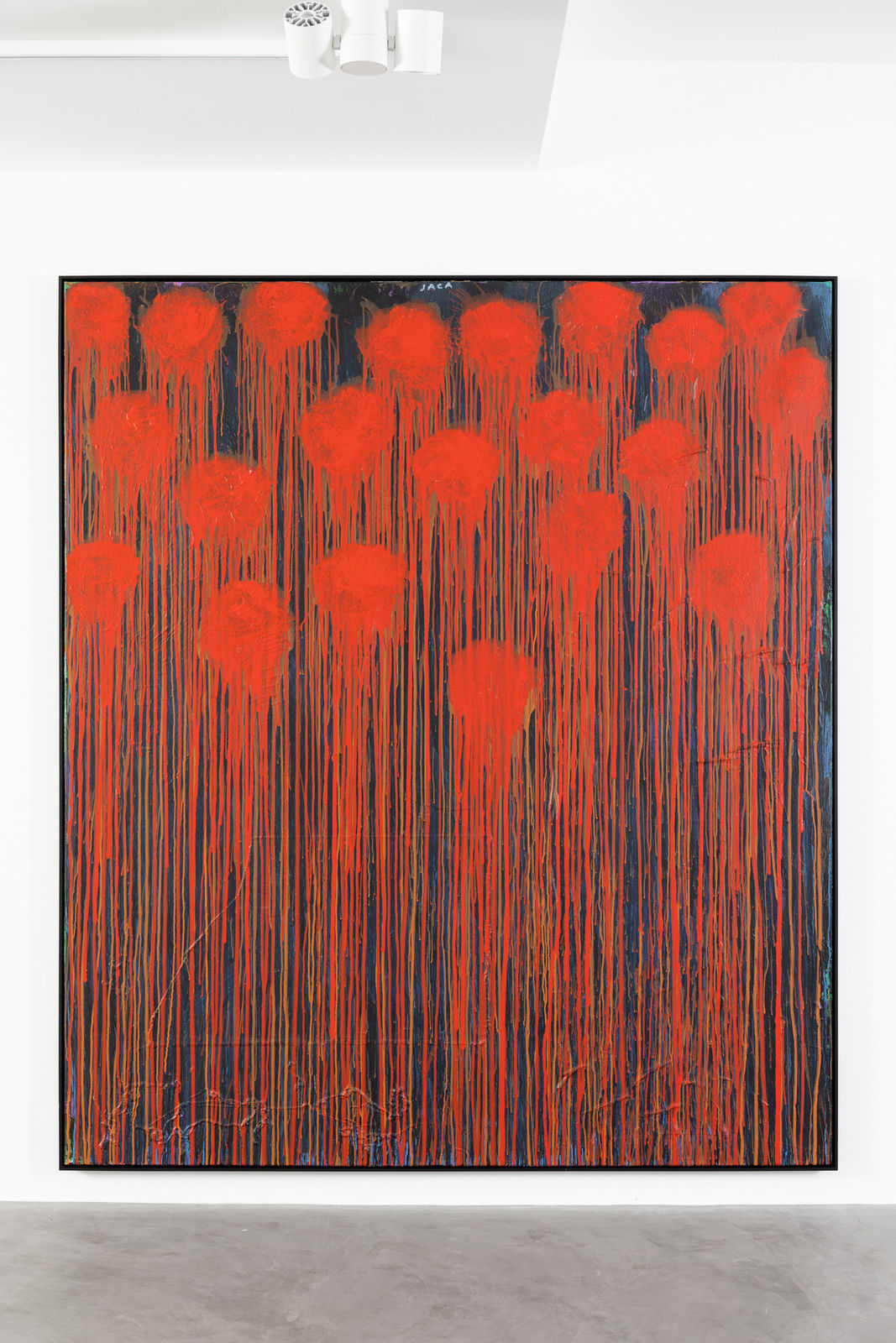 Julien Jaca, Bleeding Poppies, 2024, Installation at PULPO GALLERY