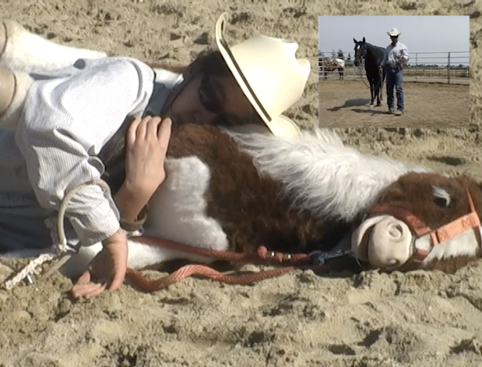 stephanie mei huang, how to hobble a young horse, 2022