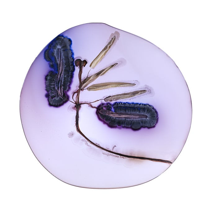 Kathrin Linkersdorff, Microverse II/4 (Sc-M510/28.2-1.6.23), 2023