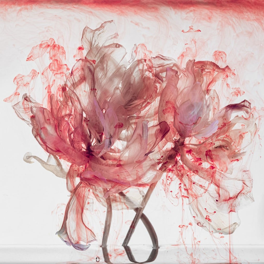 Kathrin Linkersdorff, From the series Fairies, IV/15, 2021