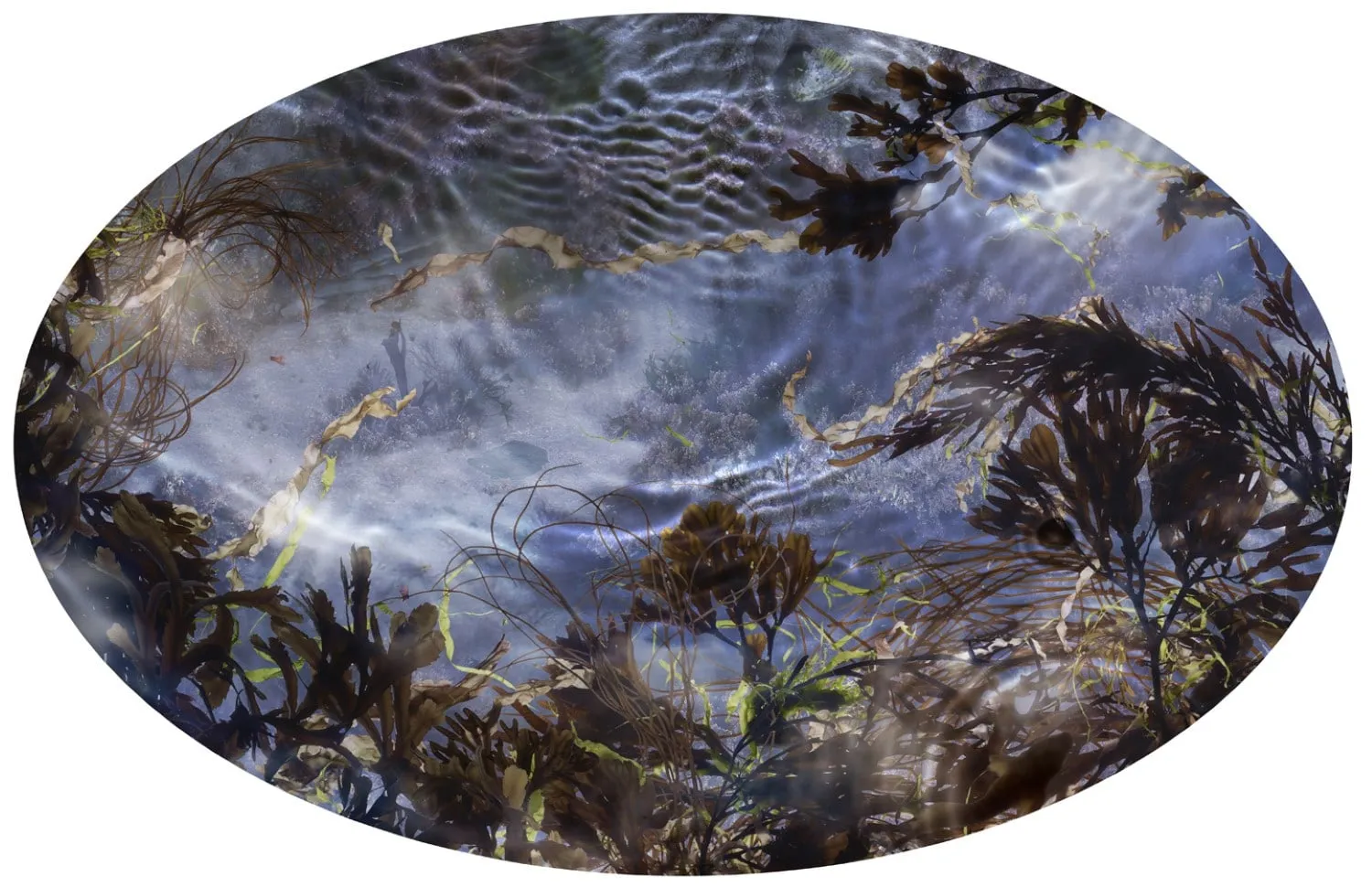 Susan Derges, Tide Pool 39, 2015