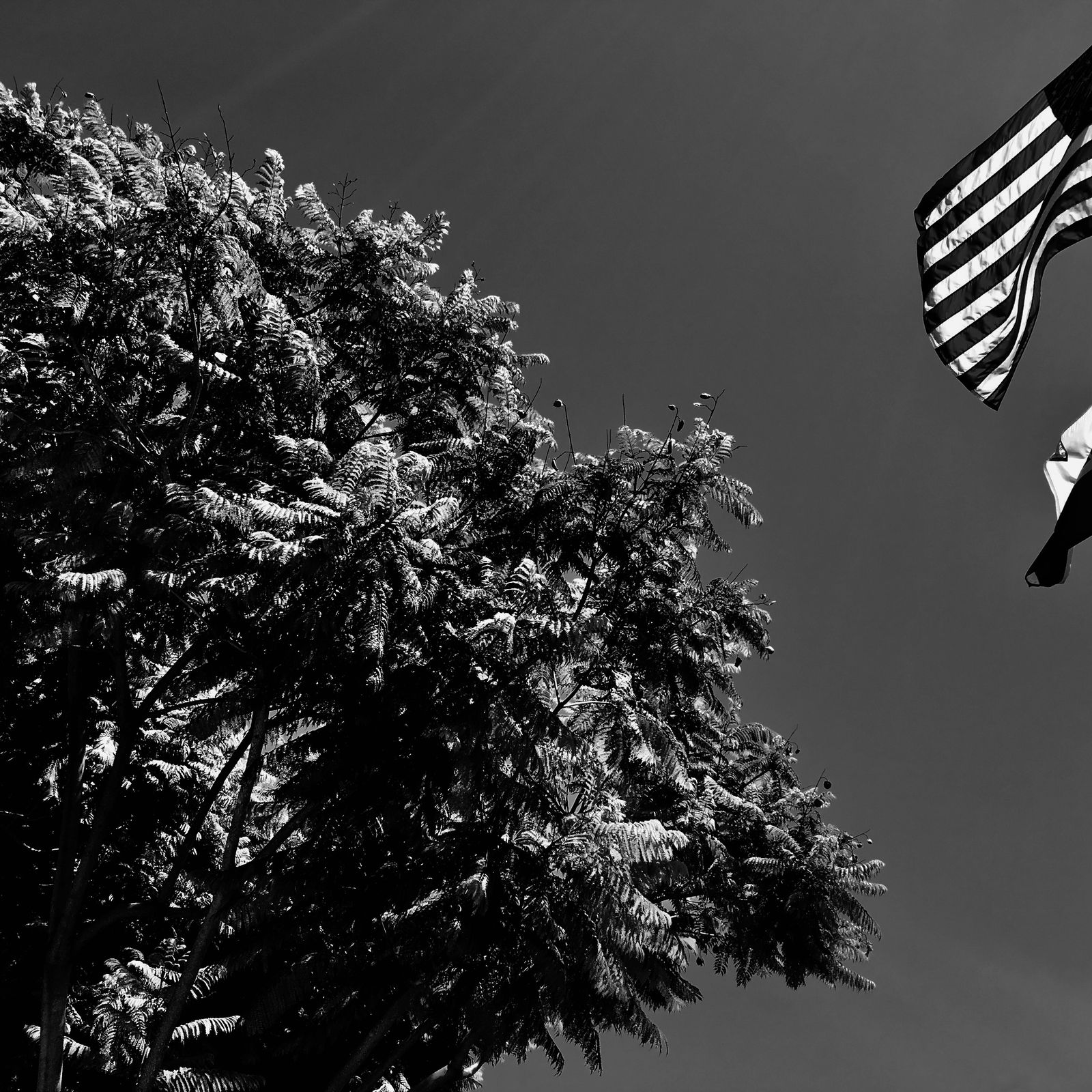 Diana Matar, From the series My America, Jonathan Pena, 1988-2015