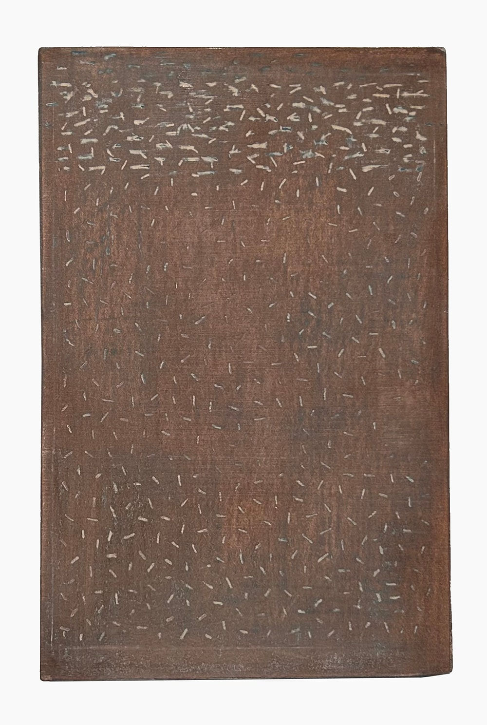 David Quinn, No. 28, 2023