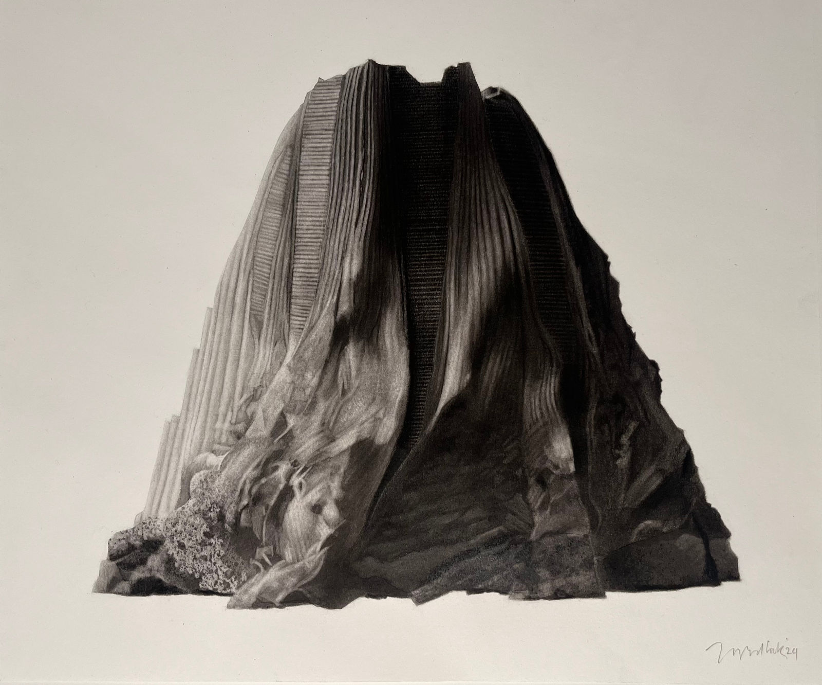 Jonathan Delafield Cook, Barnacle I, 2024