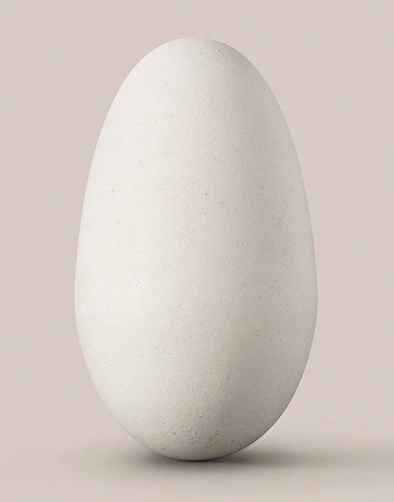 Leila Jeffreys, From the series Stillness, Wandering Albatross Egg, 2024