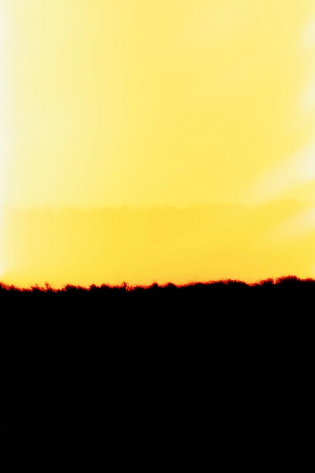 Céline Bodin, Rothko Project 6, 2020