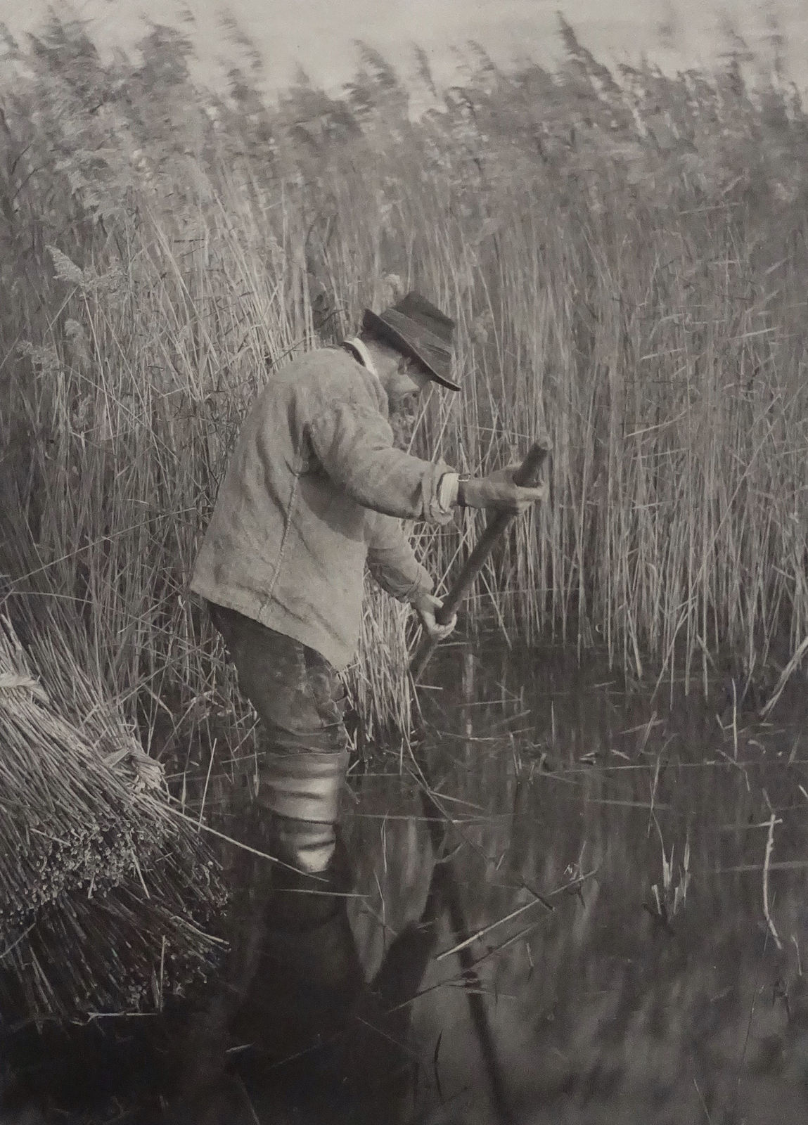P. H. Emerson, From Life and Landscape on the Norfolk Broads, A Reed-Cutter at Work , 1886
