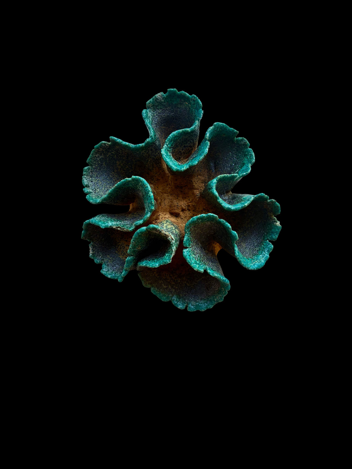 Nile's Fruit no.2, 2025