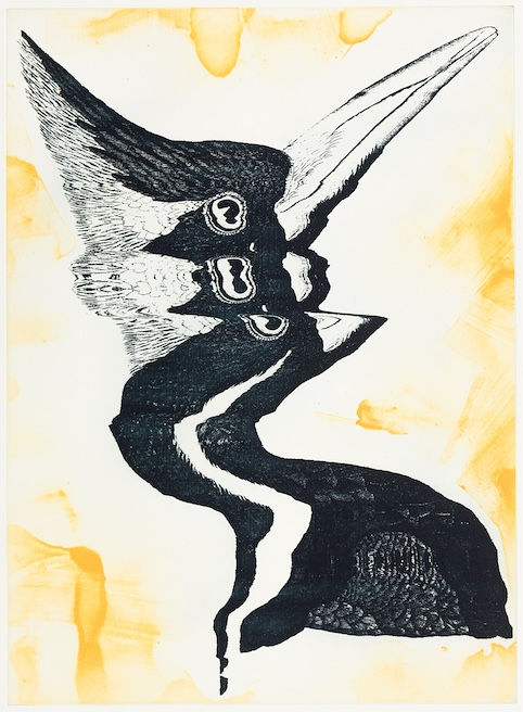 Svend-Allan Sørensen, Absurd Ivory Billed Woodpecker, 2025