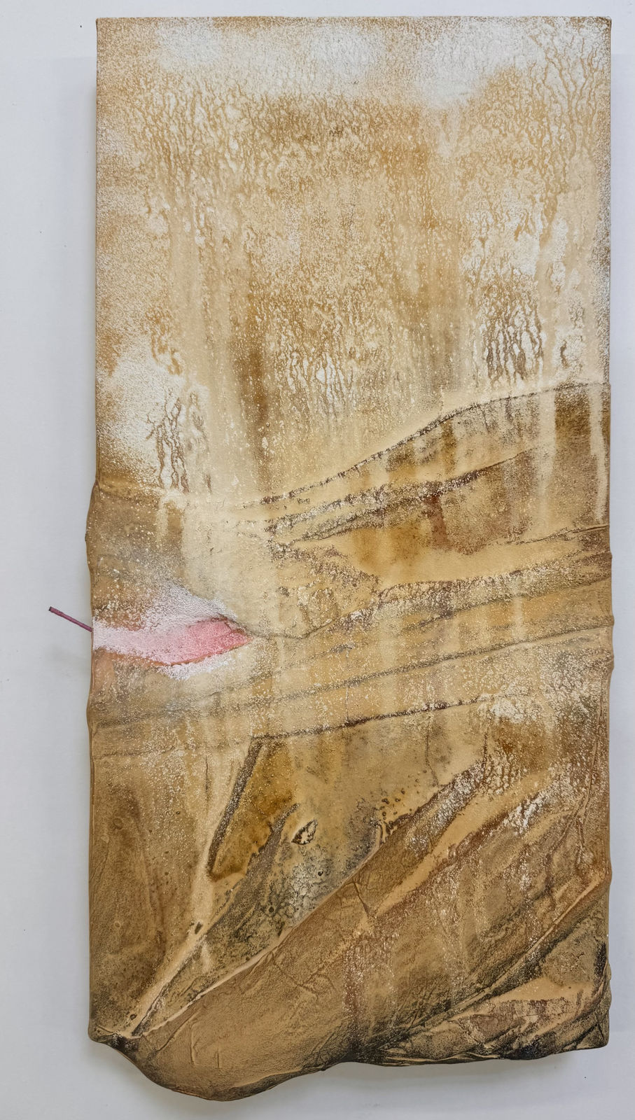 Stella Zhang, Suspension, 2026