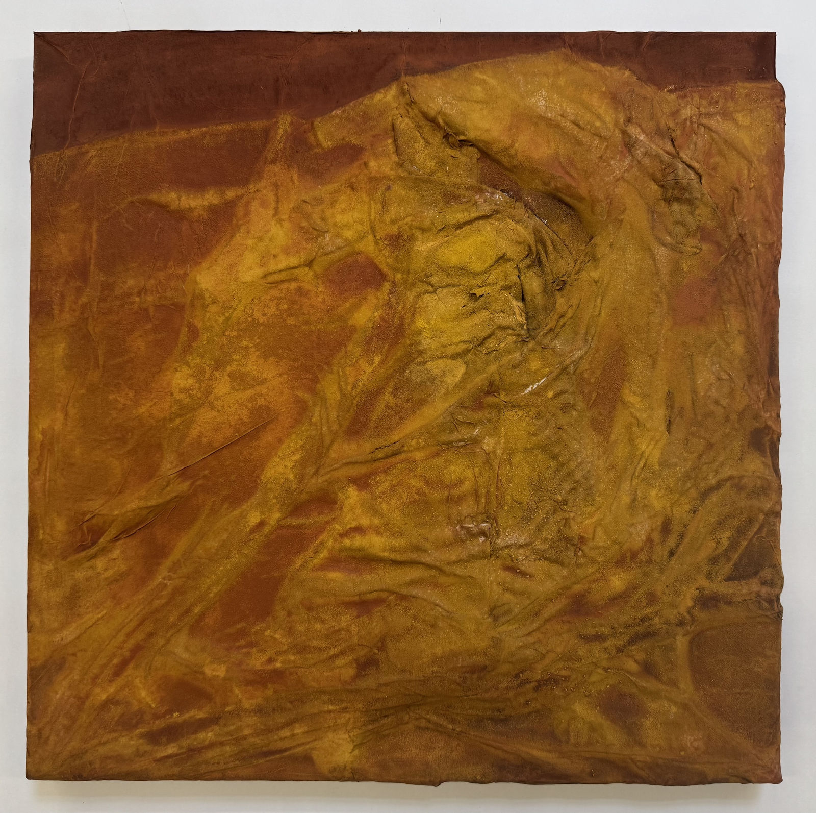 Stella Zhang, Overflow, 2026