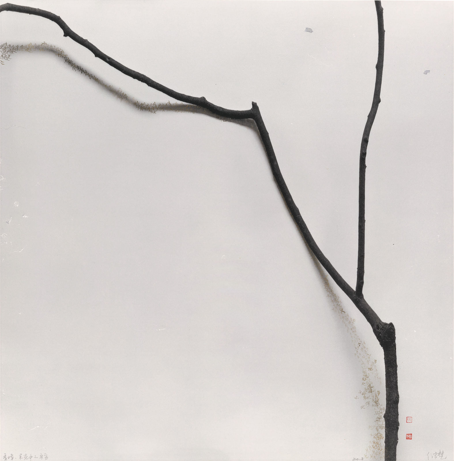 Chu Chu, Camphor-The Universe in a Nutshell (树语-香樟), 2011-2018