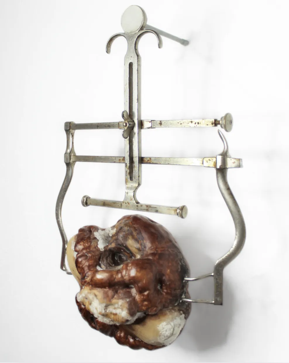 Fharid Latorre, I learned quite nicely — and only outside Lady familiarity between common polemic gentlemen of whom the many live life to sneeze from their cocks, 2025