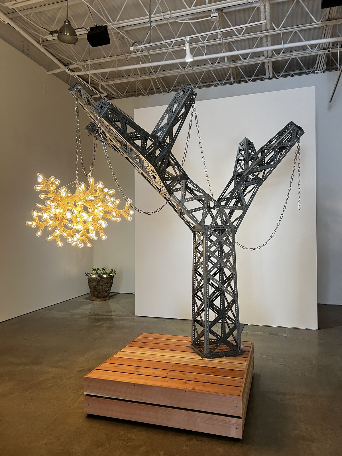 Roman de Salvo, Electric Picnic II, 2026