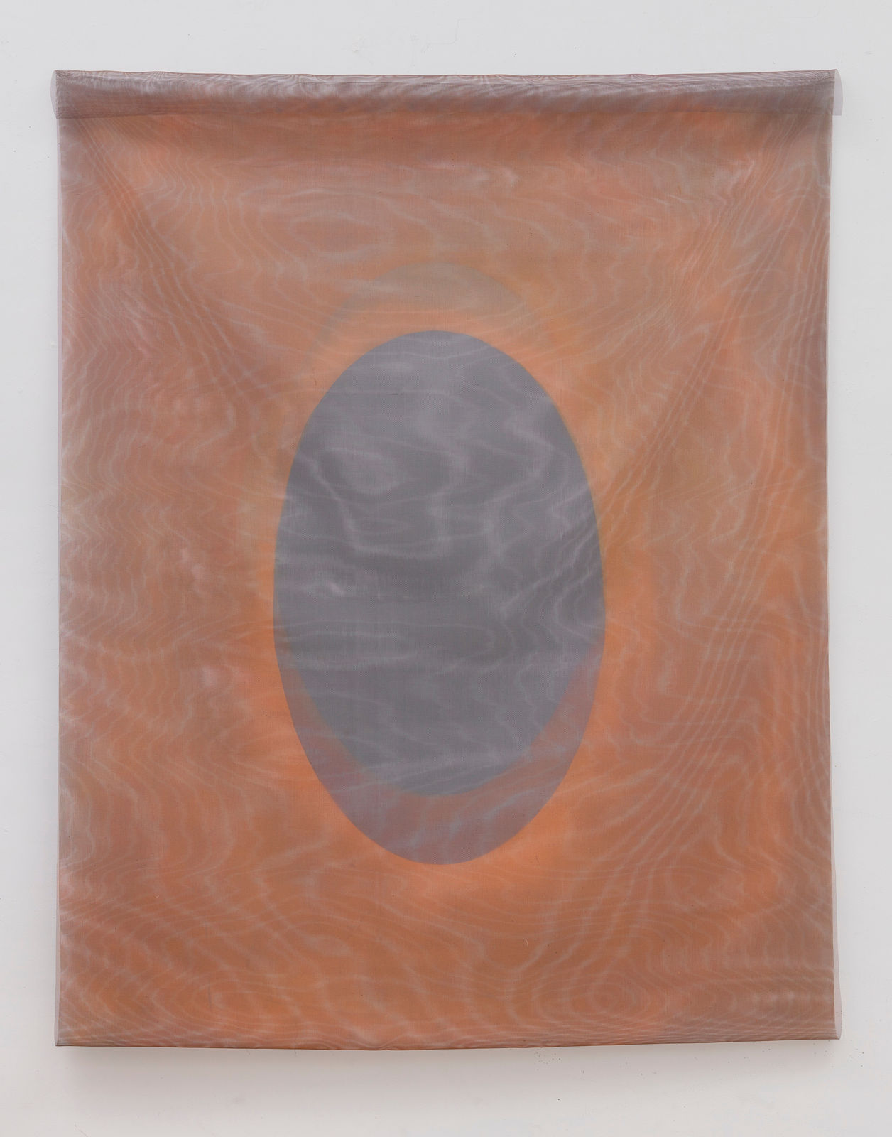 Lisa Sigal, Interrupted Shadow (orange retinal field), 2023