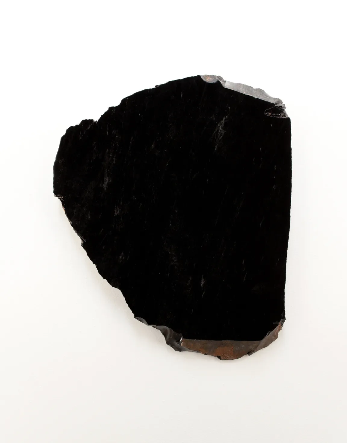 Anya Gallaccio, When black is burned, 2014