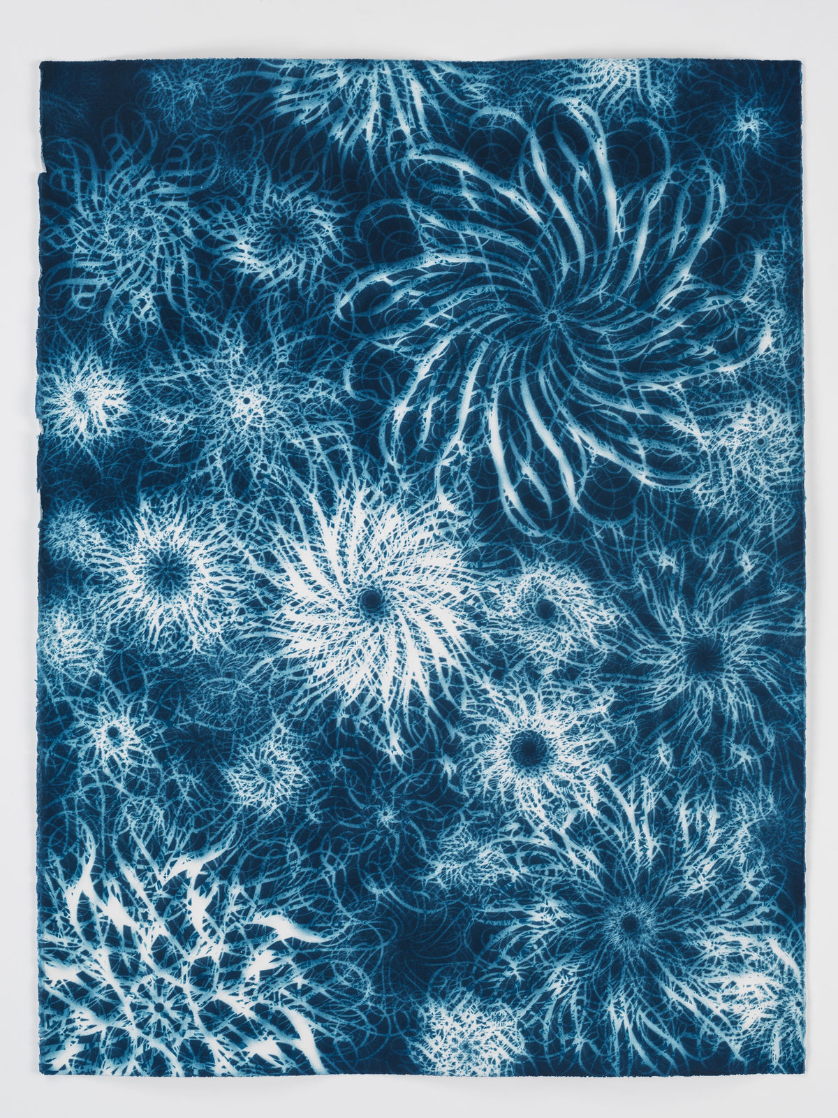 Ryan McGinness, Dark Energy Cyanotype 13, 2015